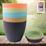 Round Plastic Flower Pot with Bottom Tray (5 Pcs Set / With Color Box)