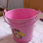 Small Metal Bucket for Plants & Decor (1 Pc, With Handle)