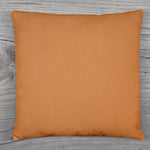 Couch Pillows Cover