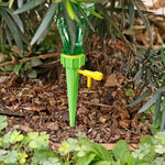 Plant Rooter Green