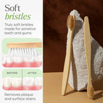 cute ladybug toothbrush holder with toothbrush combo set