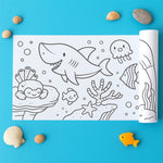 Brainy Color Kids Roll
