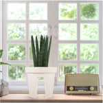 Riding Pot Bling Decor Creative Flowerpot Balcony Flower Pot (1 Pc / MOQ :- 2 Pc)