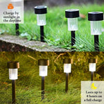 Solar Powered Garden Pathway Lights (10 Pc / Set)