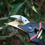 Heavy Duty Garden Pruning Shears (1 Pc)