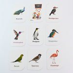 KidKraft Early Learner Educational Flashcards – 32 Birds