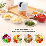 Wireless USB Rechargeable Mini Electric Garlic Machine / Chopper 3 Blades (300Ml)