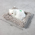 Adorable car toy cat        
