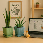 Trendy Square Plastic Flower Pots Set of 5