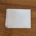 Non-woven shoe carry bag