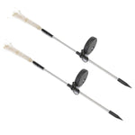 Luminous Garden Rays