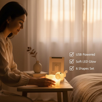 Christmas MULTI SHAPE SMALL LIGHT LAMPS LED SHAPE CRYSTAL  CHRISTMAS NIGHT LIGHT LAMP (6 PC SET)