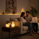 Christmas MULTI SHAPE SMALL LIGHT LAMPS LED SHAPE CRYSTAL  CHRISTMAS NIGHT LIGHT LAMP (6 PC SET)