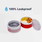2 Layer Insulated Lunch Box Tiffin
