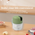 Wireless USB Rechargeable Mini Electric Garlic Machine / Chopper 3 Blades (300Ml)