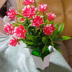 Wild Artificial Flower Plant for Home & Office Decor (1 Pc, Cute Pot)