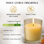 In'lief  Blueberry Soy-Blend Votive Candle Glass – 50 gm (1 Pc)