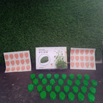 Plant Climbing Wall Fixture Clip (30 Pcs Set)