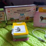 Preschool Learning Toys Flash Cards for Small Kids Educational Toys English Words Learning Machine for Kids with 224 Words, Birthday Gift for Kids Intelligent Electric Kids Language Card (1 Set)