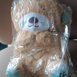 LED Light Musical Teddy Bear