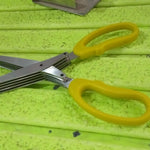 Multifunction Vegetable Stainless Steel Herbs Scissor with 5 Blades (1 Pc)