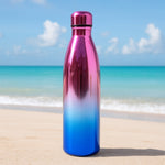 Sleek Stainless Steel Hydration Bottle