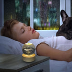 Fish 3D Crystal Ball lamps With Base (1 Pc)