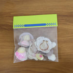 Natural Decorative Sea Shells Set (1 Set)