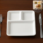 Dinner Plate