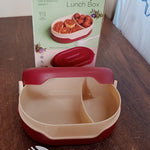 Airtight Food Grade Tiffin Box with 2 in 1 Spoon And 2 Compartment