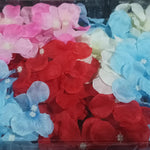 LED Mood Lights Bedroom Interior Decor Lighting, Diwali (12 Pcs Set)