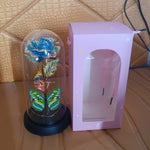 LED-Powered Eternal Rose in plastic Dome (1 Pc / Battery not Included)